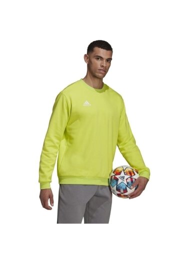 Vyriški džemperiai adidas Entrada 22 Sweat Top lime HC5049
