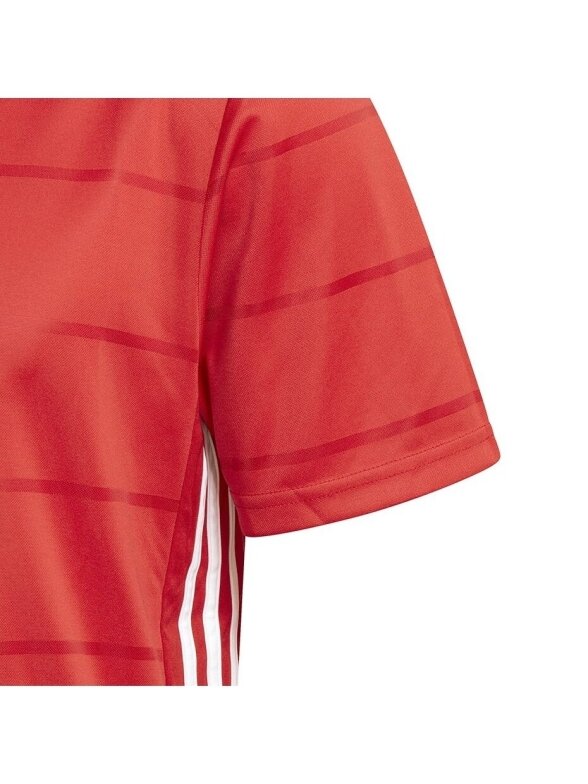 Vyriški marškinėliai Adidas Campeon 21 Jersey red FT6763 2 Vyriški marškinėliai Adidas Campeon 21 Jersey red FT6763 2