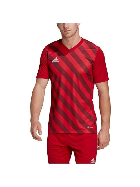 Vyriški marškinėliai Adidas Entrada 22 Graphic Jersey raudonos ir bordo spalvos HB0572 3