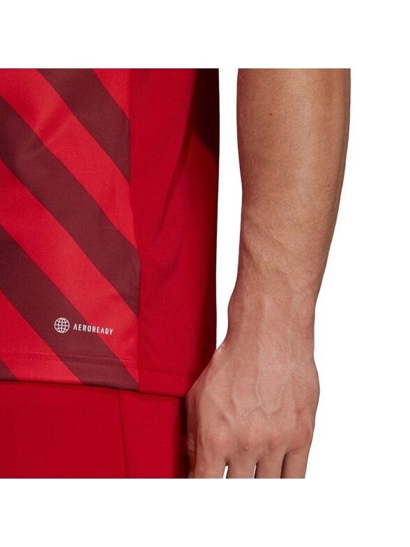Vyriški marškinėliai Adidas Entrada 22 Graphic Jersey raudonos ir bordo spalvos HB0572 4 Vyriški marškinėliai Adidas Entrada 22 Graphic Jersey raudonos ir bordo spalvos HB0572 4