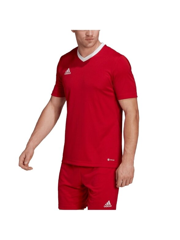 Vyriški marškinėliai Adidas Entrada 22 Jersey red H61736 4