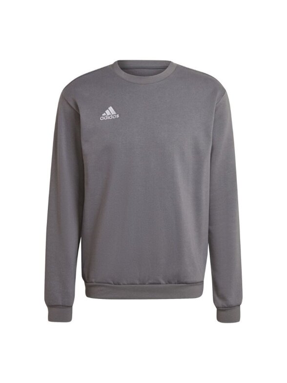 Vyriški džemperiai Adidas Entrada 22 Sweat Top ball H57479 1