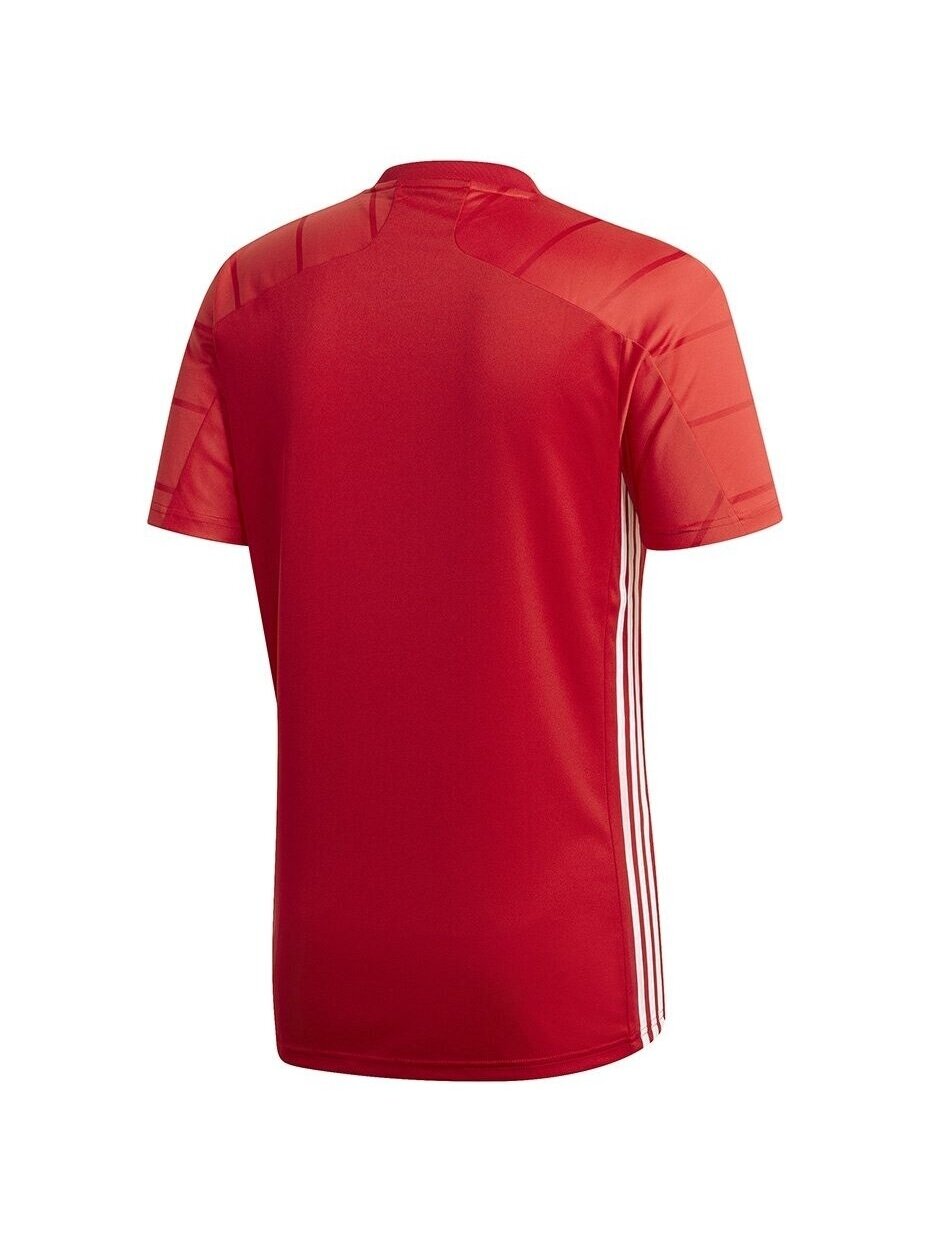 Vyriški marškinėliai Adidas Campeon 21 Jersey red FT6763 1