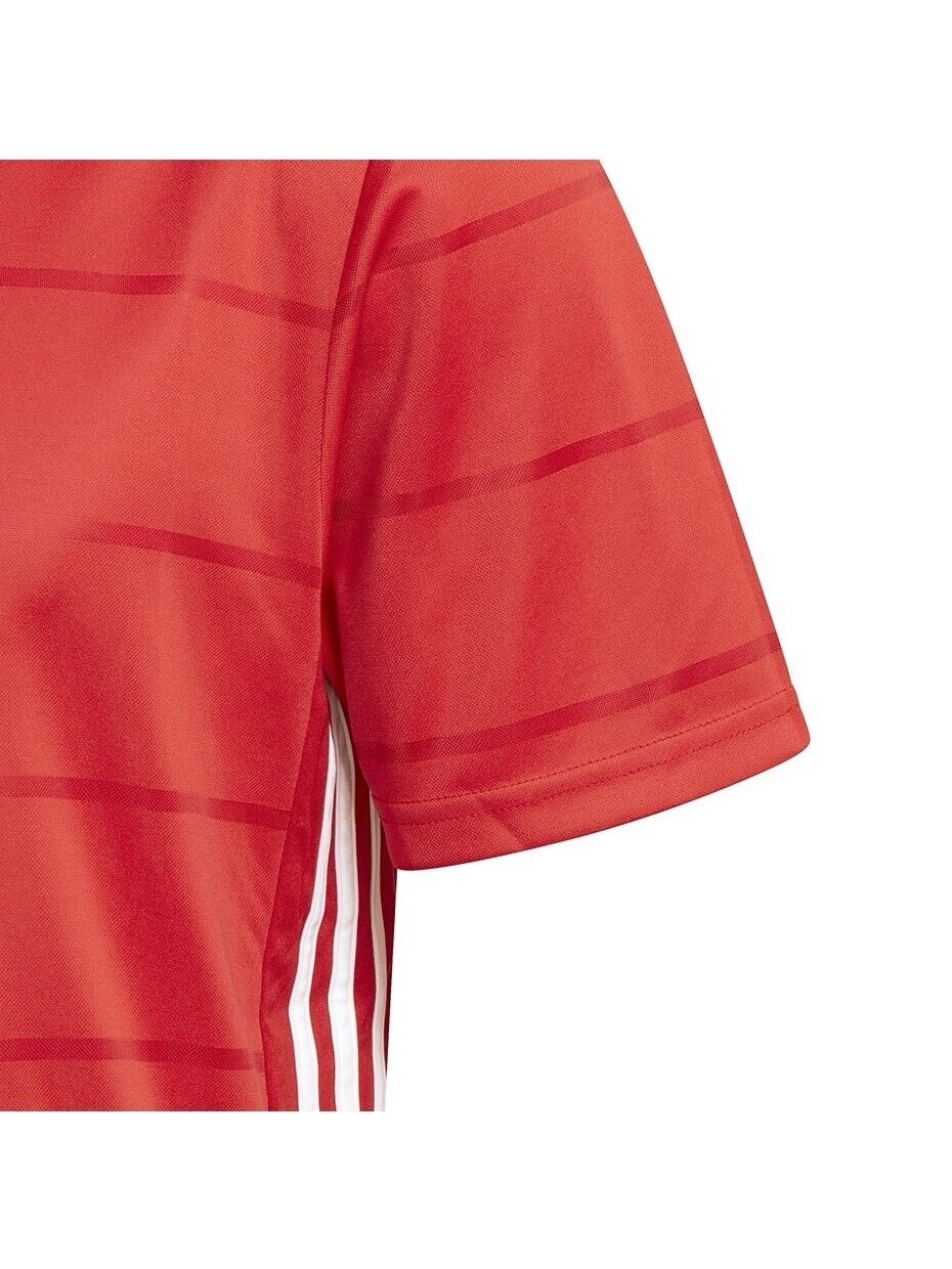 Vyriški marškinėliai Adidas Campeon 21 Jersey red FT6763 2 Vyriški marškinėliai Adidas Campeon 21 Jersey red FT6763 2