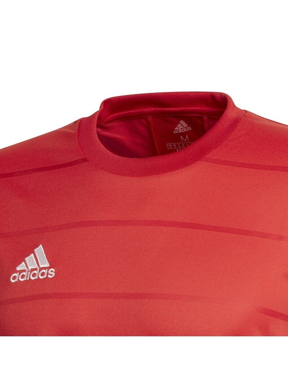Vyriški marškinėliai Adidas Campeon 21 Jersey red FT6763 4