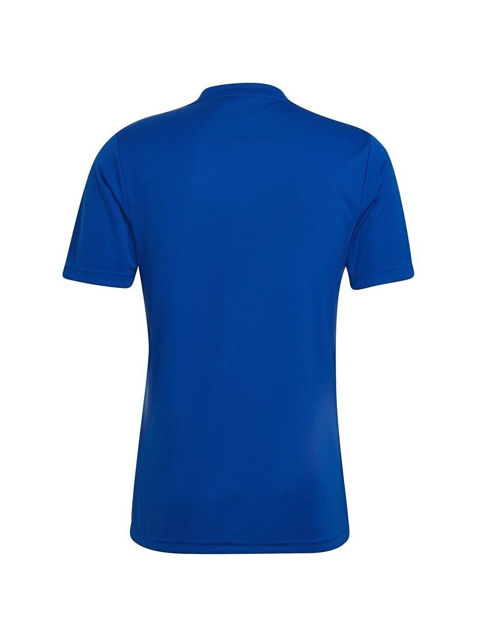 Vyriški marškinėliai Adidas Entrada 22 Graphic Jersey mėlyna-mėlyna HF0116 3