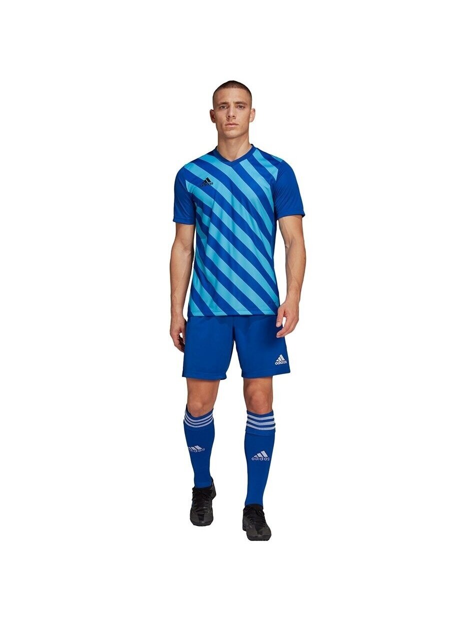 Vyriški marškinėliai Adidas Entrada 22 Graphic Jersey mėlyna-mėlyna HF0116 4