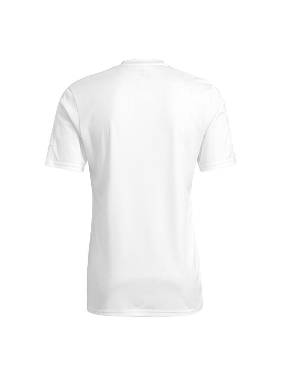 Vyriški marškinėliai adidas Squadra 21 Jersey, balti GN5726 1