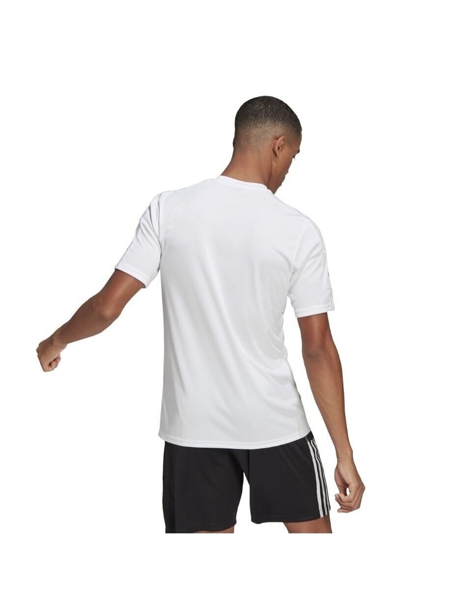 Vyriški marškinėliai adidas Squadra 21 Jersey, balti GN5726 3