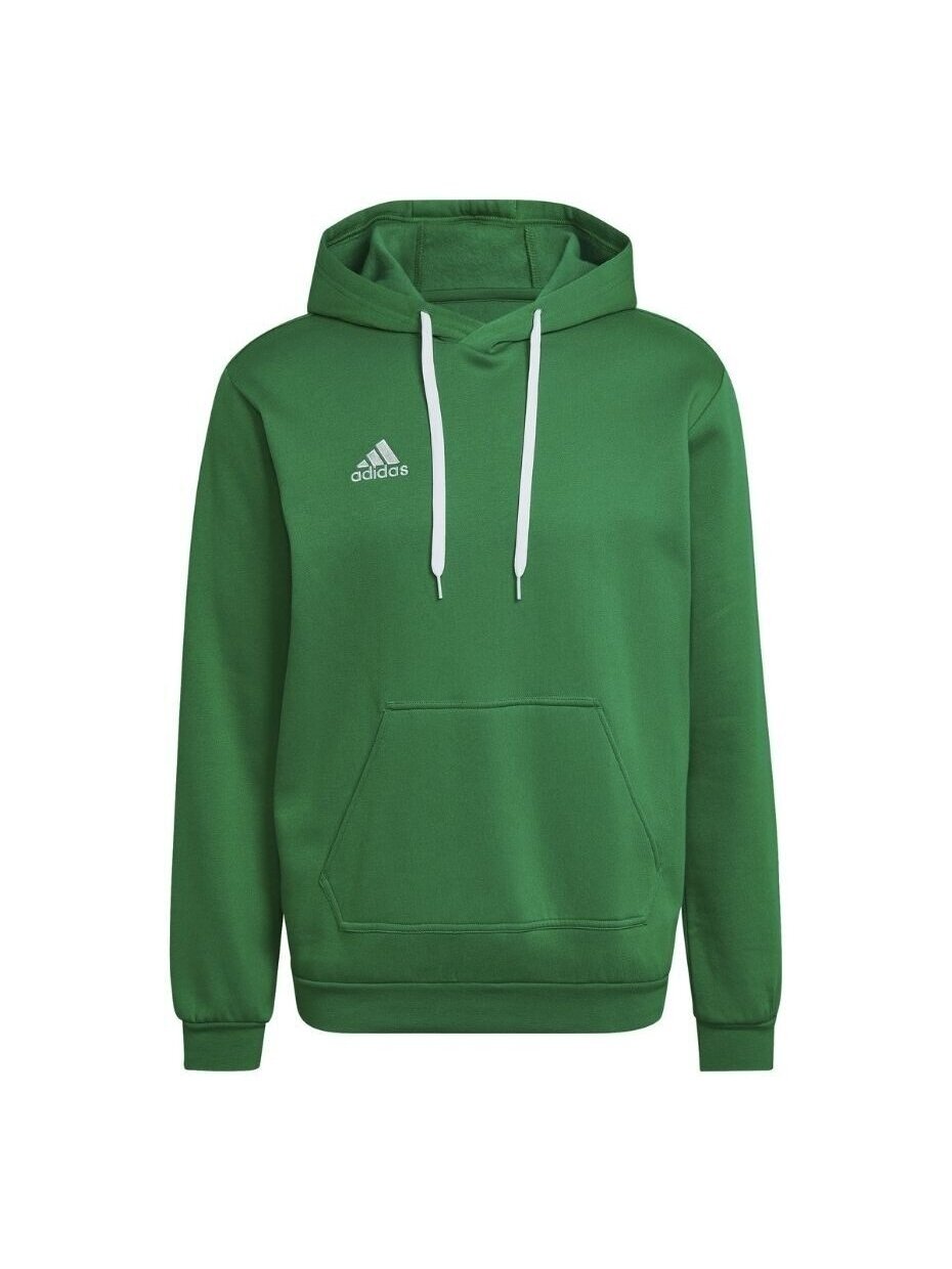 Vyriški džemperiai Adidas Entrada 22 Sweat Hoodie žalia HI2141