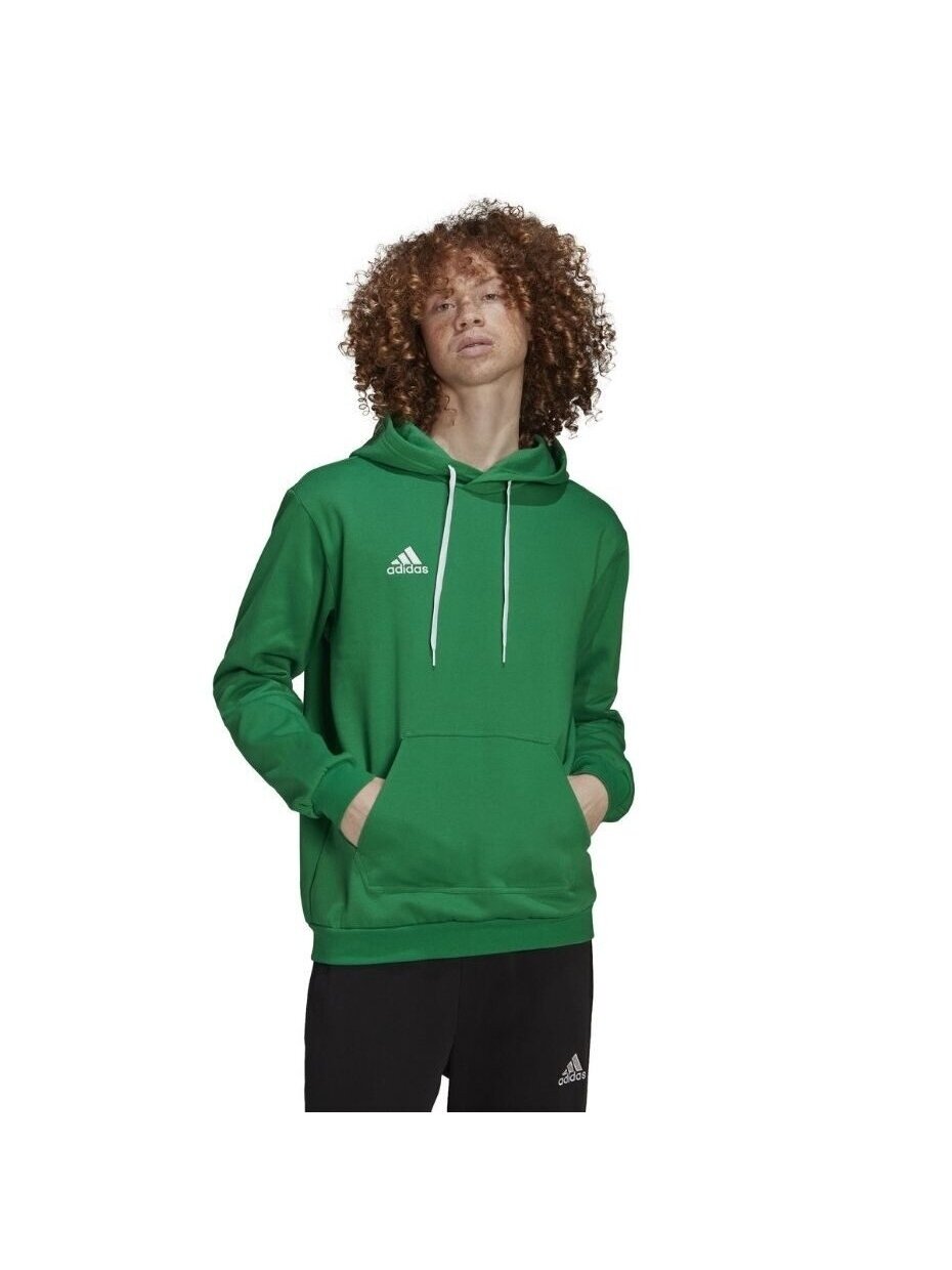 Vyriški džemperiai Adidas Entrada 22 Sweat Hoodie žalia HI2141 1
