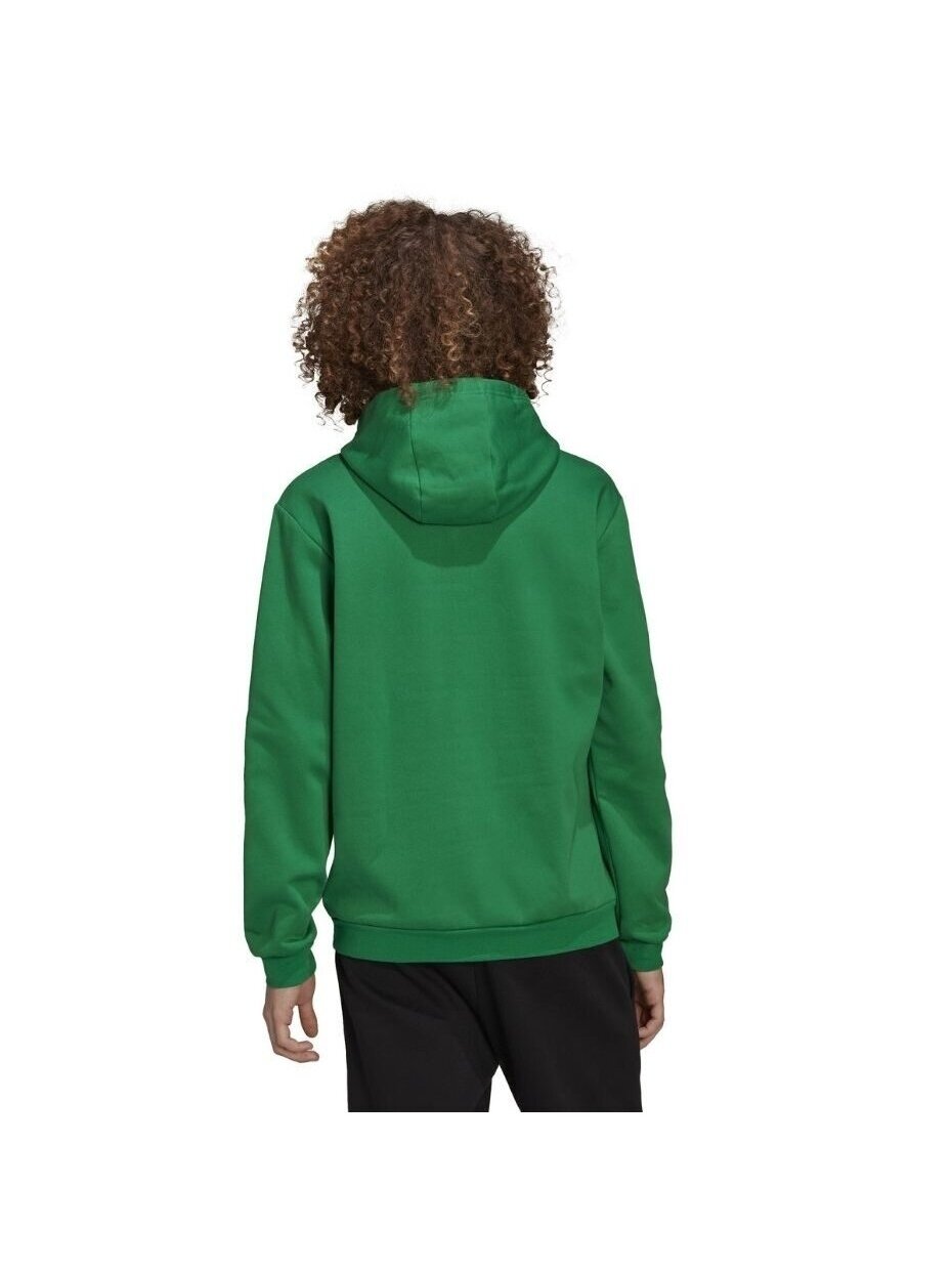 Vyriški džemperiai Adidas Entrada 22 Sweat Hoodie žalia HI2141 2