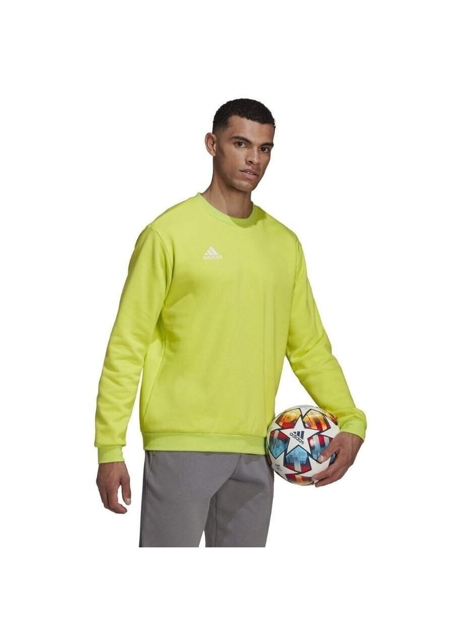 Vyriški džemperiai adidas Entrada 22 Sweat Top lime HC5049 Vyriški džemperiai adidas Entrada 22 Sweat Top lime HC5049