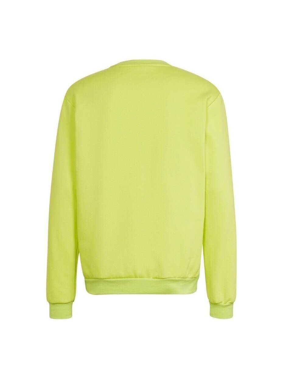 Vyriški džemperiai adidas Entrada 22 Sweat Top lime HC5049 2